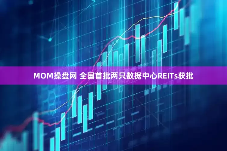 MOM操盘网 全国首批两只数据中心REITs获批