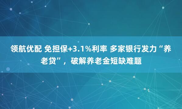 领航优配 免担保+3.1%利率 多家银行发力“养老贷”，破解养老金短缺难题