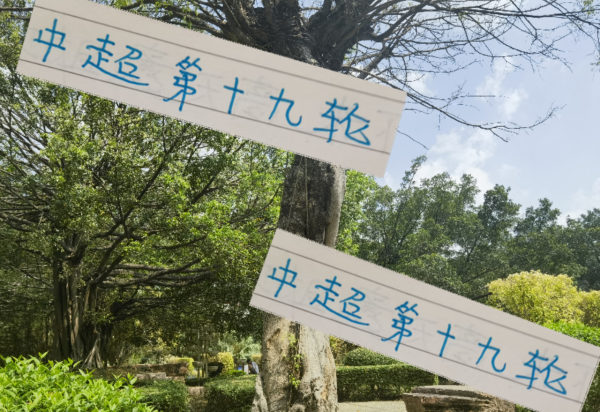 A策略 周末申花去云南高原打比赛 赤道以南阿苏埃还能进第4个球吗