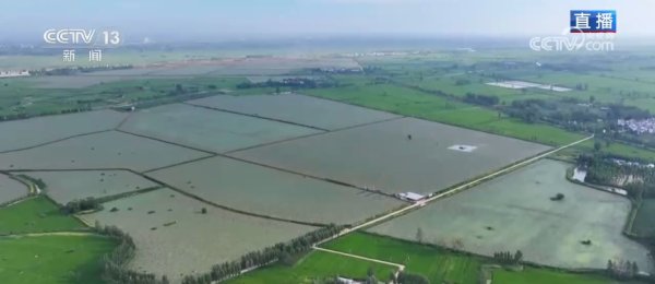 同花配 “水患”化“水利” 因地制宜发展特色种植 结出乡村振兴“共富果”