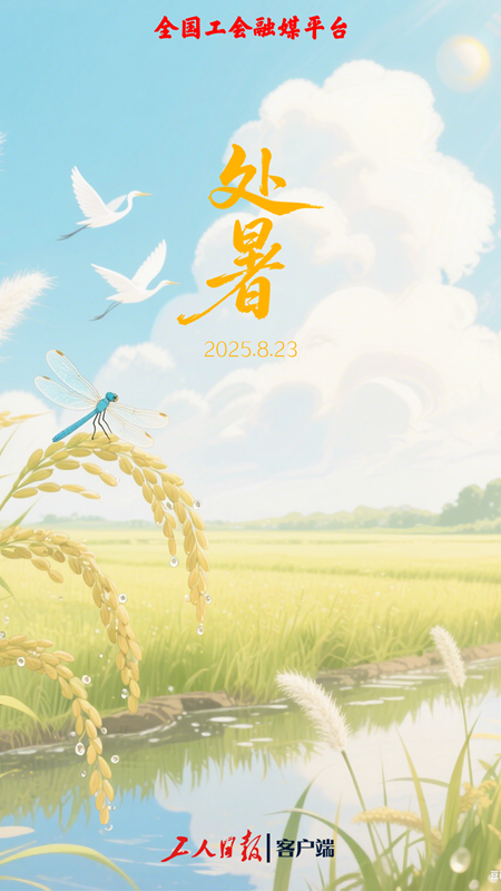 金牛股 今日处暑